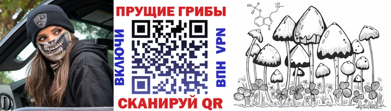 купить наркоту  Сосногорск  Галлюциногенные грибы Psilocybine cubensis 
