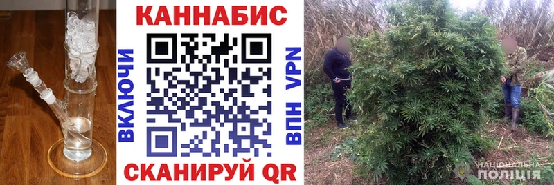 Шишки марихуана конопля Сосногорск